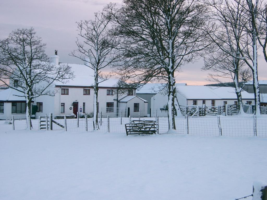 Bee Cottage Farm Guest House Consett Buitenkant foto