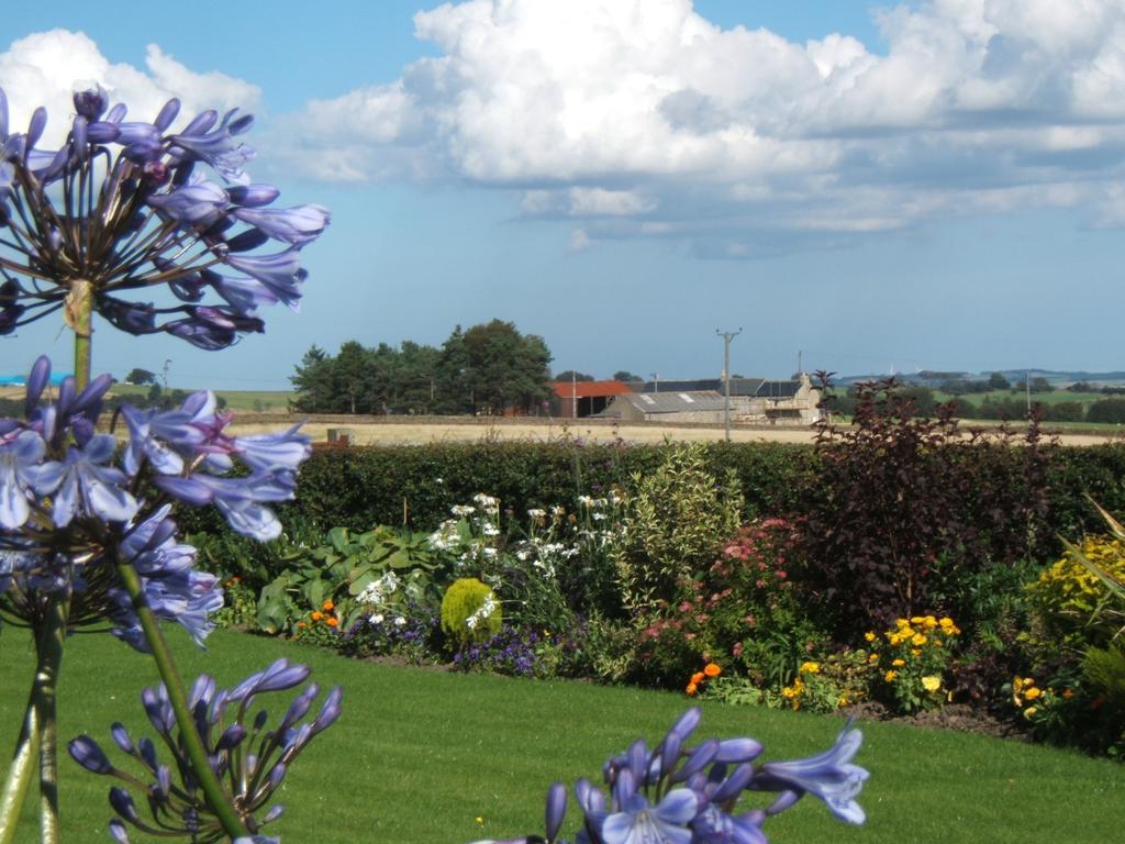 Bee Cottage Farm Guest House Consett Buitenkant foto